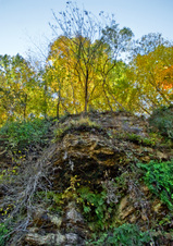 Enlarge photo 103
