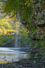 Enlarge photo 104