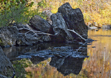 Enlarge photo 105