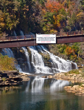 Enlarge photo 110
