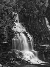 Enlarge photo 113