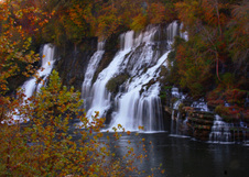 Enlarge photo 125