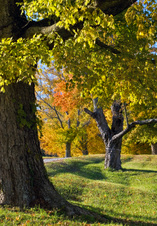 Enlarge photo 133