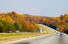 Enlarge photo 137