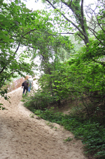 Enlarge photo 10