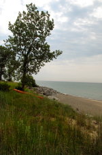 Enlarge photo 55