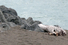 Enlarge photo 56