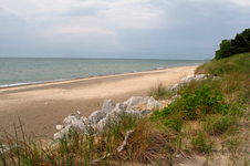 Enlarge photo 57