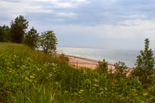 Enlarge photo 59