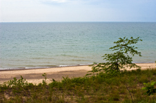 Enlarge photo 60