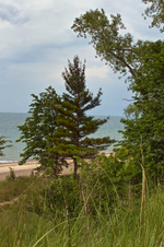 Enlarge photo 61