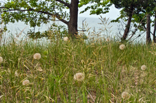Enlarge photo 62