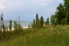 Enlarge photo 63