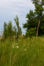 Enlarge photo 64