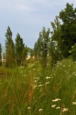 Enlarge photo 65