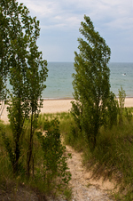 Enlarge photo 67