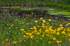 Enlarge photo 18