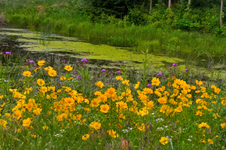 Enlarge photo 19
