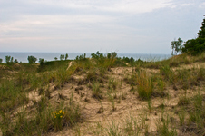 Enlarge photo 21