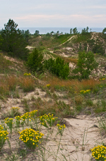 Enlarge photo 24