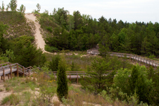 Enlarge photo 37