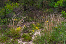 Enlarge photo 38