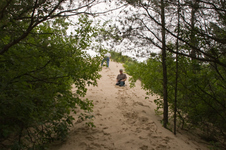 Enlarge photo 30