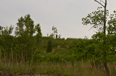 Enlarge photo 31