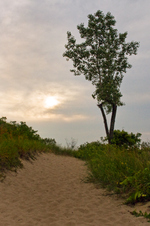 Enlarge photo 32