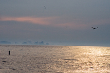 Enlarge photo 45
