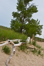 Enlarge photo 46