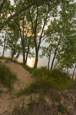 Enlarge photo 48