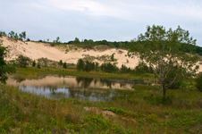Enlarge photo 49