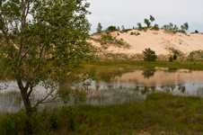 Enlarge photo 50