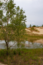 Enlarge photo 51