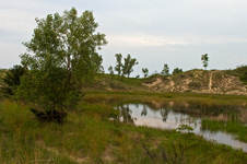 Enlarge photo 52