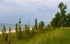 Enlarge photo 68