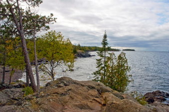 Enlarge photo 30