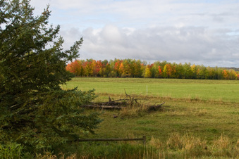 Enlarge photo 36