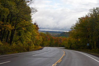 Enlarge photo 37