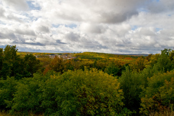Enlarge photo 42