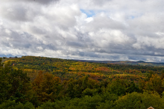 Enlarge photo 43