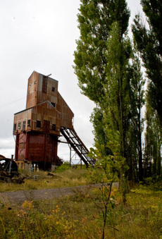 Enlarge photo 61