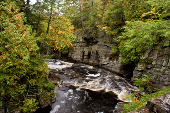 Enlarge photo 65