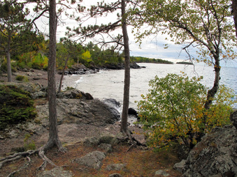 Enlarge photo 81