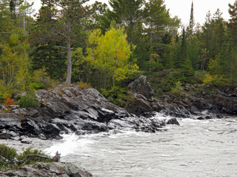 Enlarge photo 82