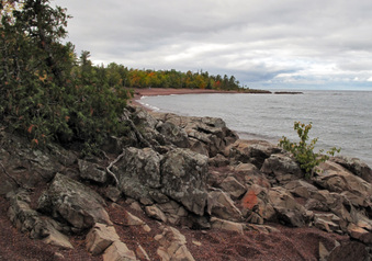 Enlarge photo 83