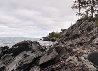 Enlarge photo 84