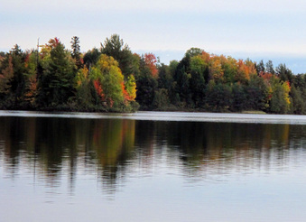 Enlarge photo 88