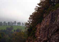 Enlarge photo 29